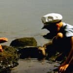 Muskoka cottage hats