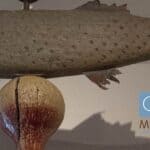 Fish weather vane at cottage