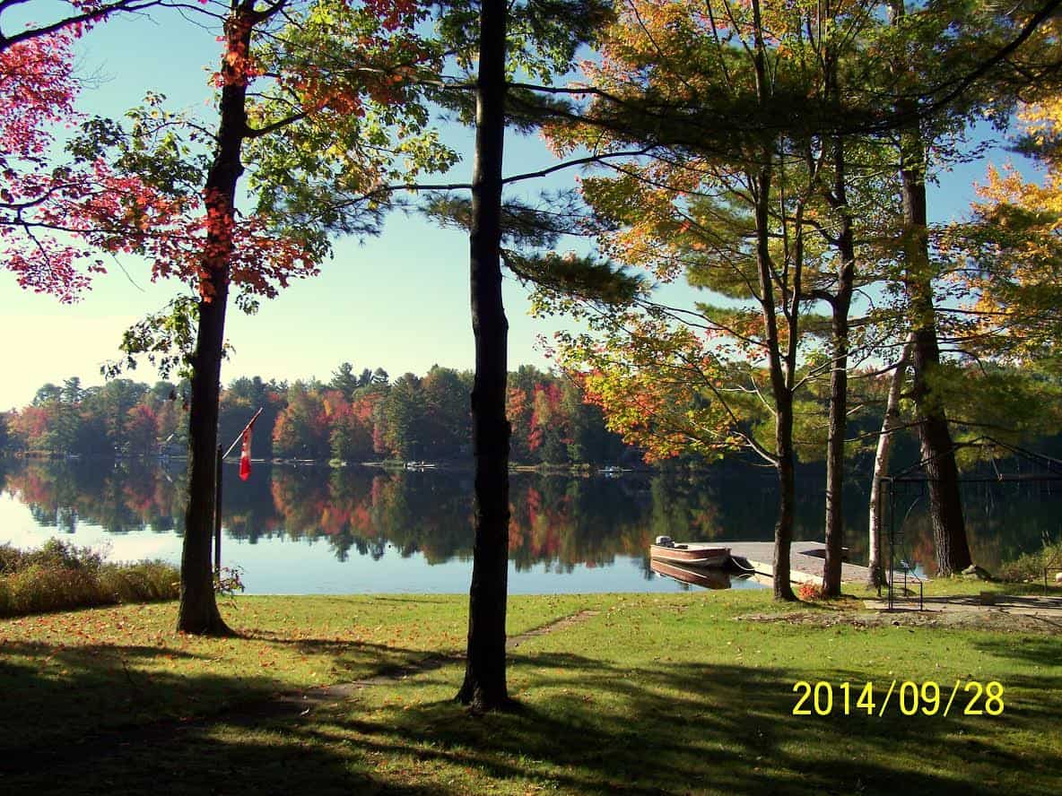 Muskoka cottage view