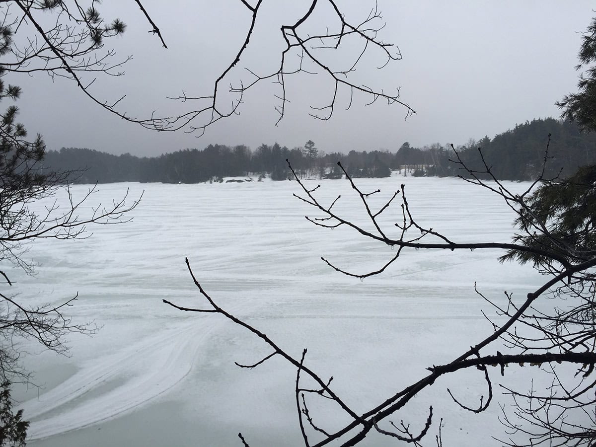 Muskoka cottage view