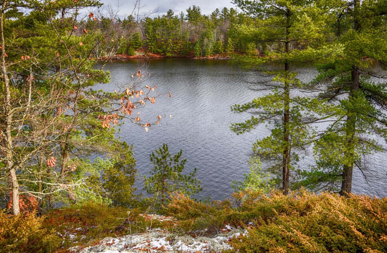 Muldrew Lake waterfront