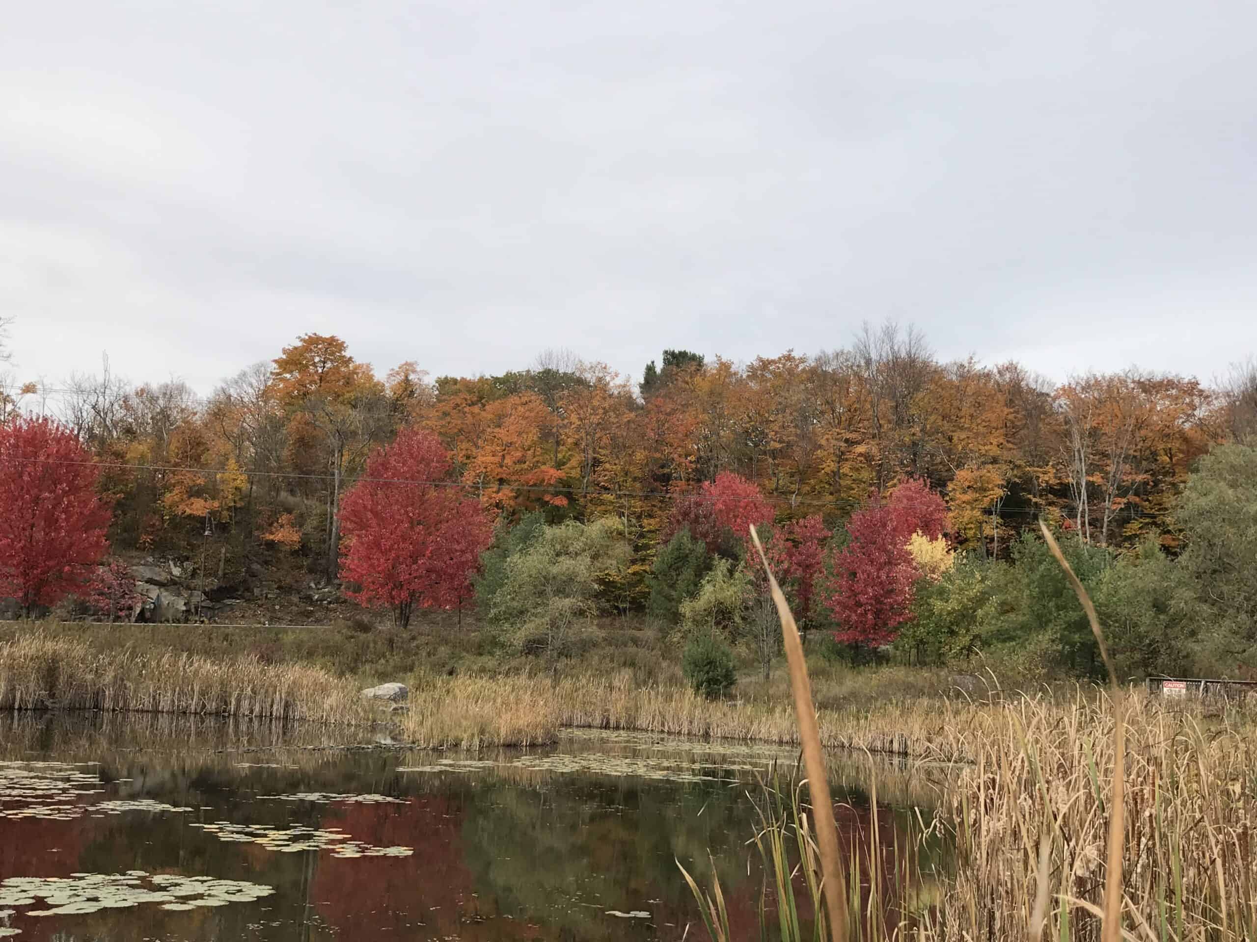 Muskoka