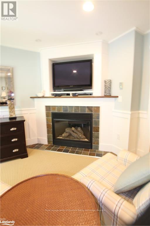 V10 W5 - 1020 Birch Glen Road, Lake Of Bays, Ontario  P0B 1A0 - Photo 25 - X10436649