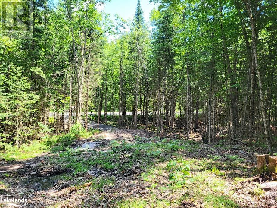 Lot 5 Fairy Falls Road, Lake Of Bays, Ontario  P0B 1A0 - Photo 11 - X10436952