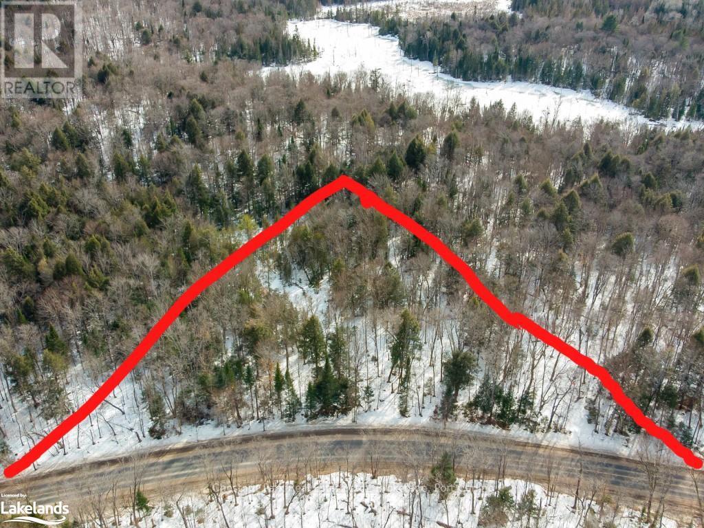 4655 Aspdin Road, Muskoka Lakes, Ontario  P0C 1J0 - Photo 10 - X10897755