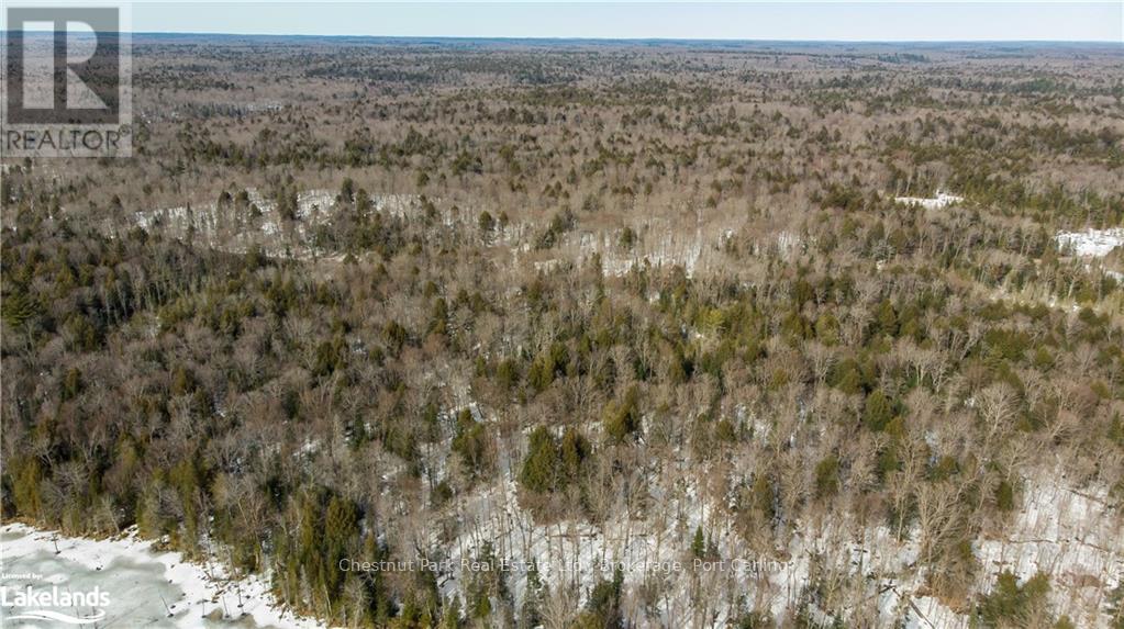 4655 Aspdin Road, Muskoka Lakes, Ontario  P0C 1J0 - Photo 14 - X10897755