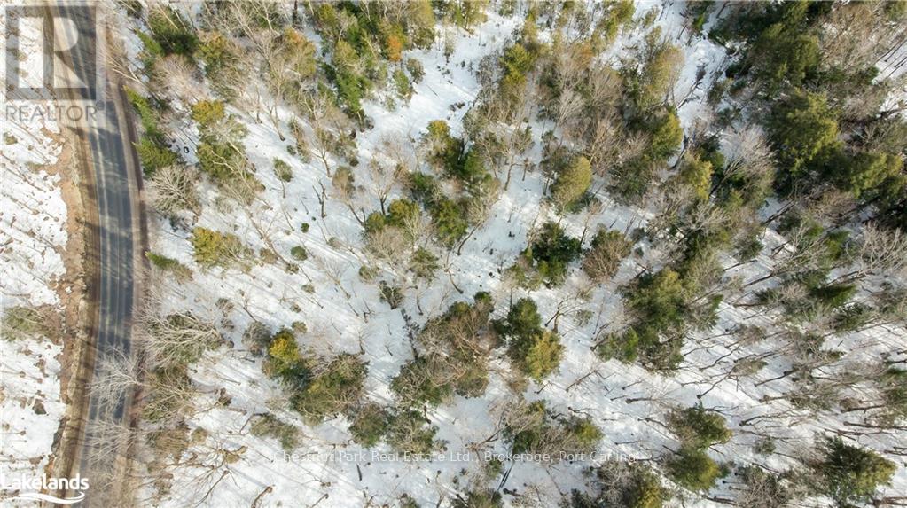 4655 Aspdin Road, Muskoka Lakes, Ontario  P0C 1J0 - Photo 16 - X10897755