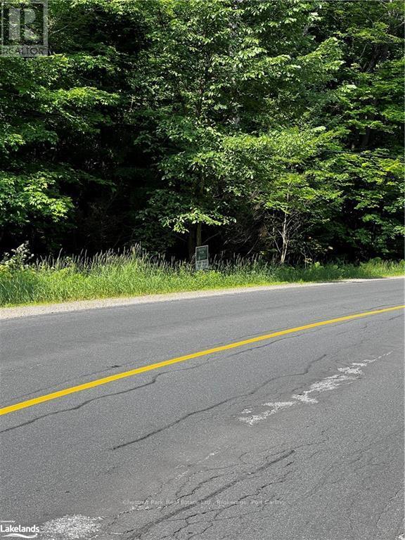 4655 Aspdin Road, Muskoka Lakes, Ontario  P0C 1J0 - Photo 4 - X10897755