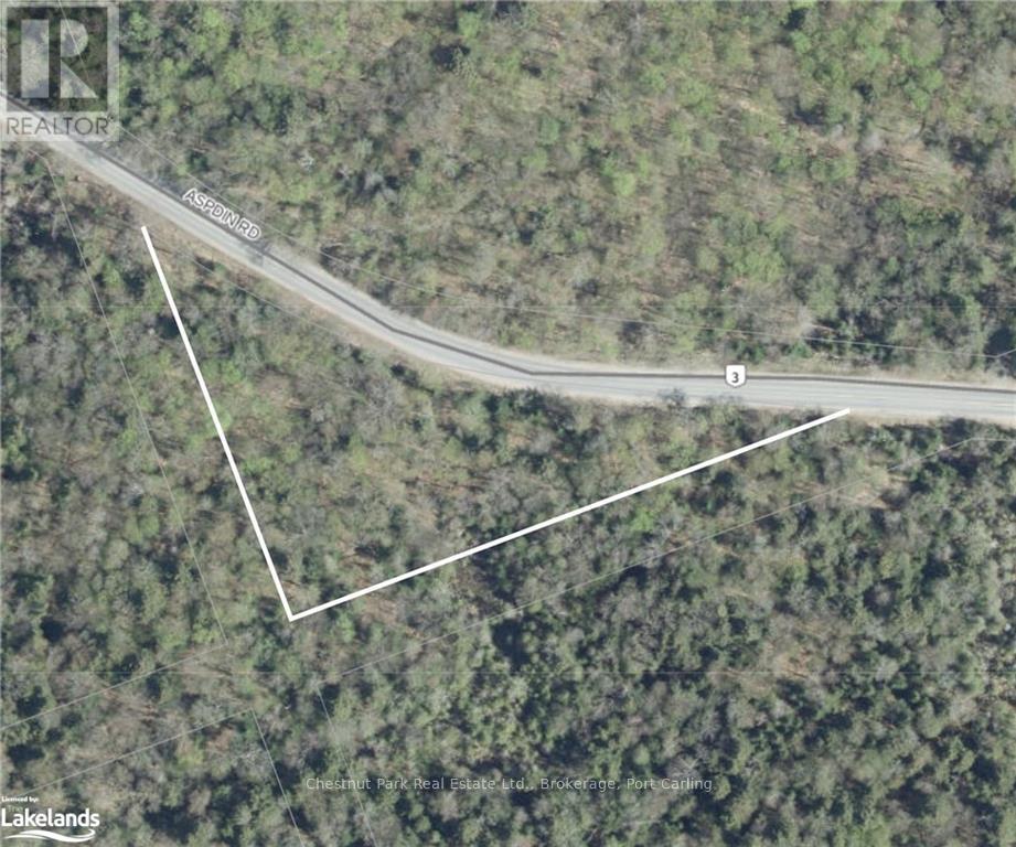 4655 Aspdin Road, Muskoka Lakes, Ontario  P0C 1J0 - Photo 5 - X10897755