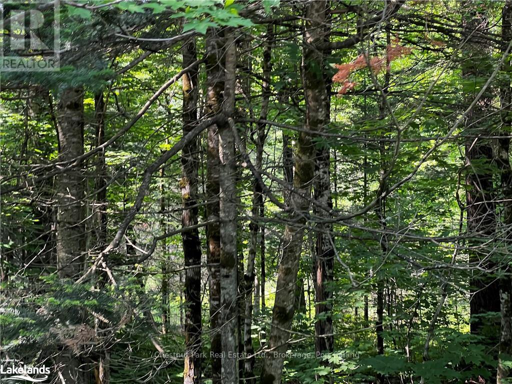 4655 Aspdin Road, Muskoka Lakes, Ontario  P0C 1J0 - Photo 7 - X10897755