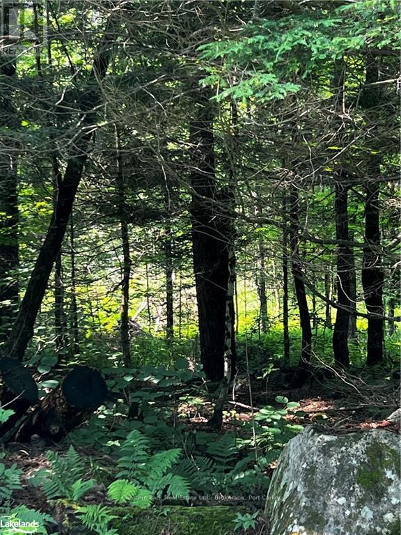 4655 Aspdin Road, Muskoka Lakes, Ontario  P0C 1J0 - Photo 9 - X10897755