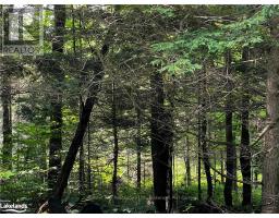 4655 ASPDIN ROAD, Muskoka Lakes, Ontario