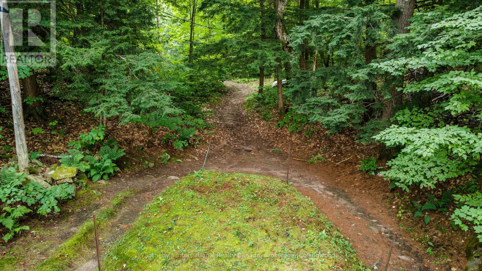 4202 Go Home Lake Shr, Georgian Bay, Ontario  P0C 1H0 - Photo 27 - X10439685