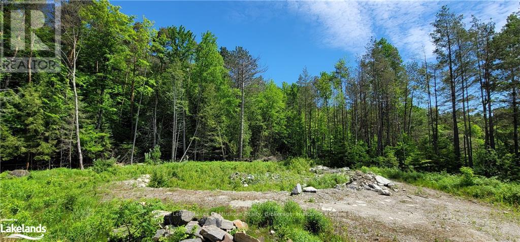 15 Madeline Street, Huntsville, Ontario  P1H 1L8 - Photo 1 - X10434540