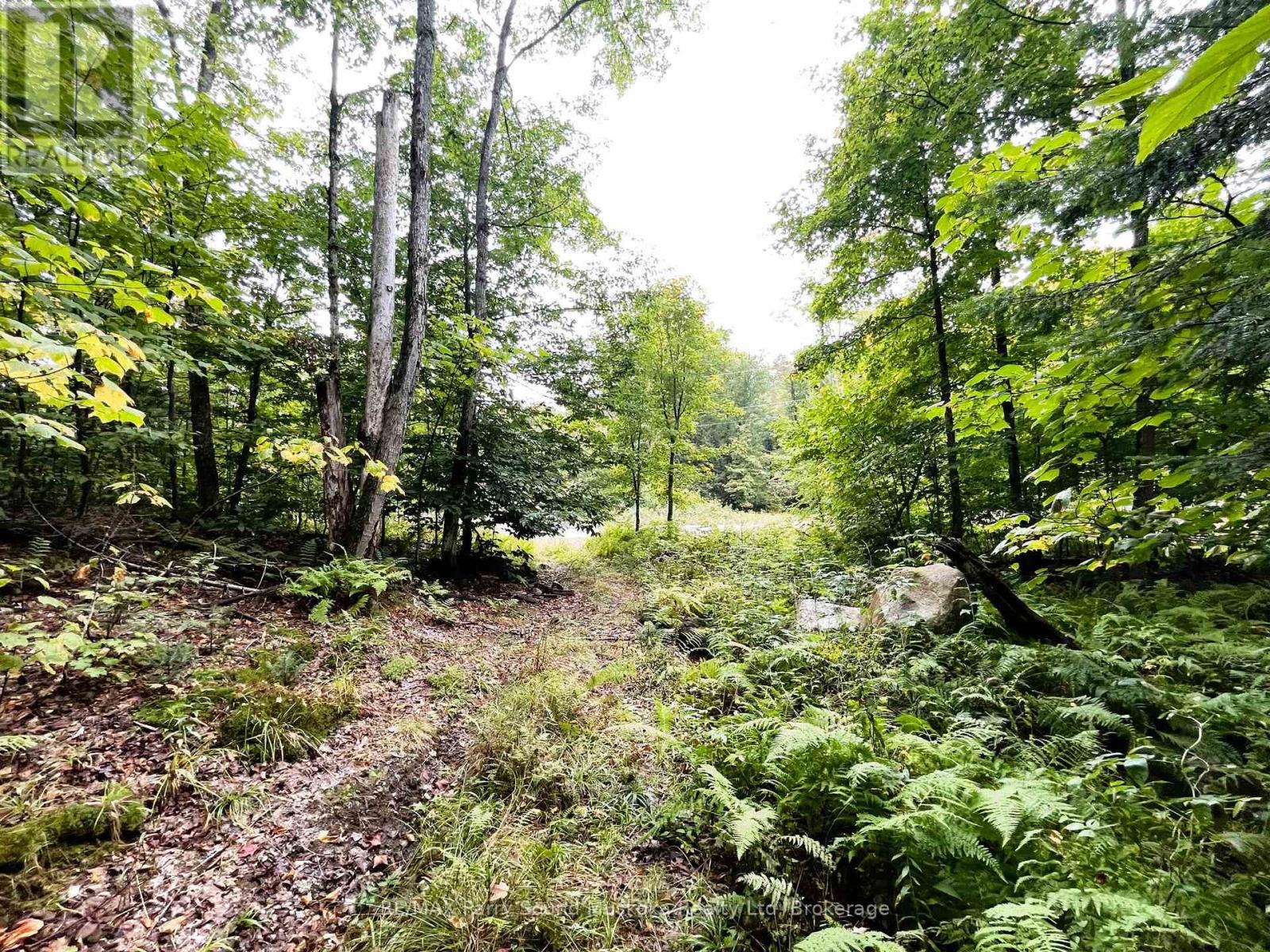 75 Granite Drive, Huntsville, Ontario  P0A 1R0 - Photo 10 - X11952292