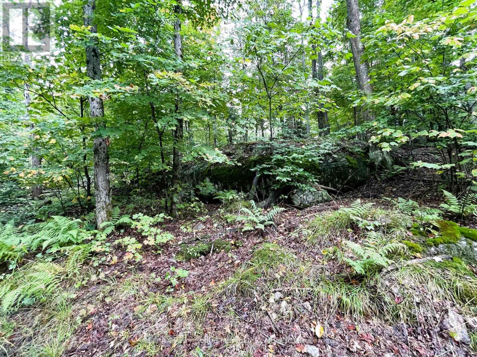 75 Granite Drive, Huntsville, Ontario  P0A 1R0 - Photo 11 - X11952292