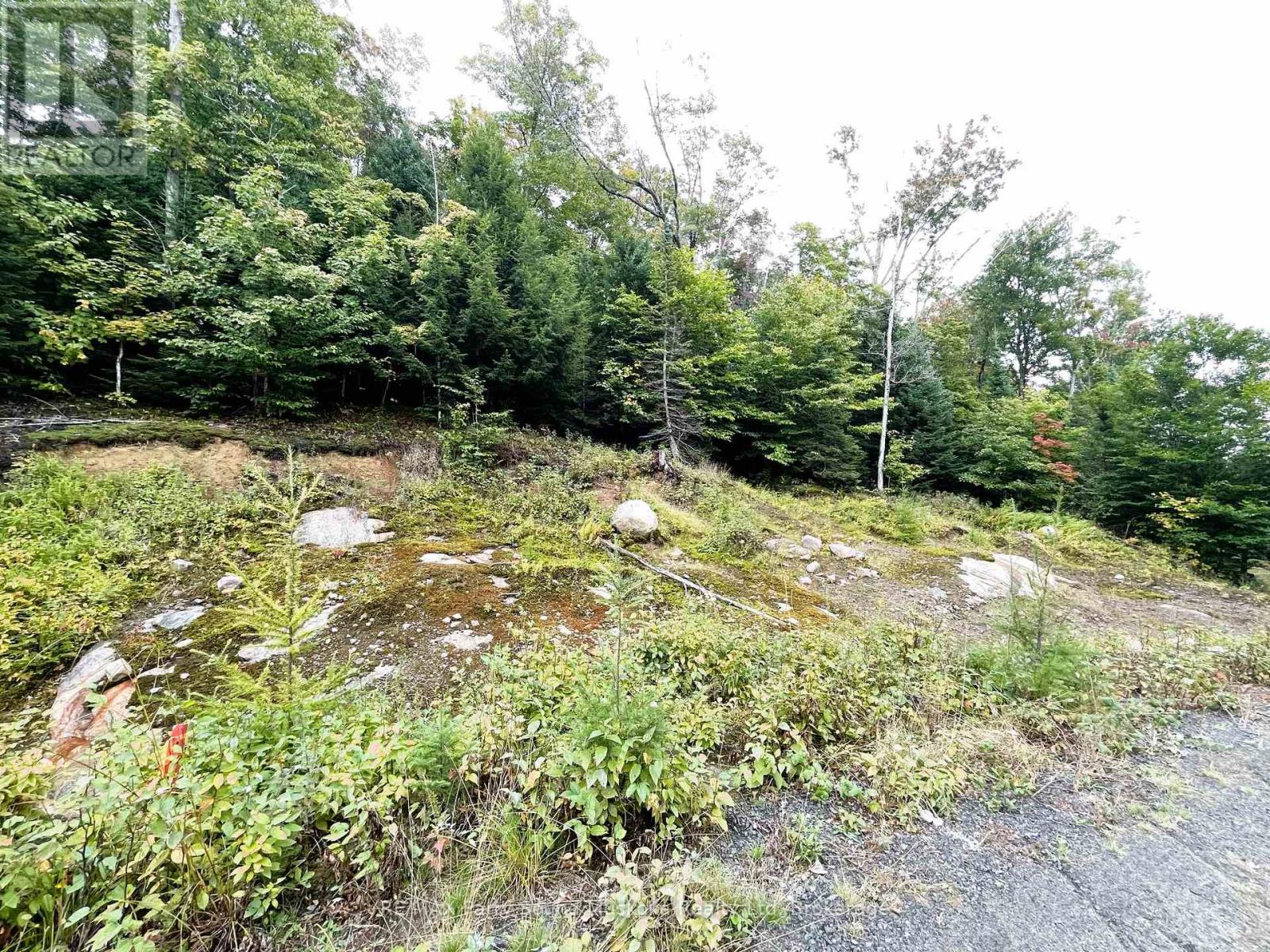 75 Granite Drive, Huntsville, Ontario  P0A 1R0 - Photo 13 - X11952292