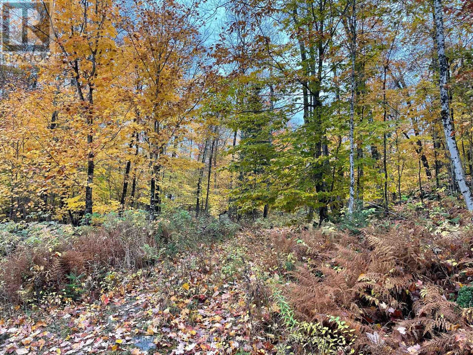 75 Granite Drive, Huntsville, Ontario  P0A 1R0 - Photo 14 - X11952292