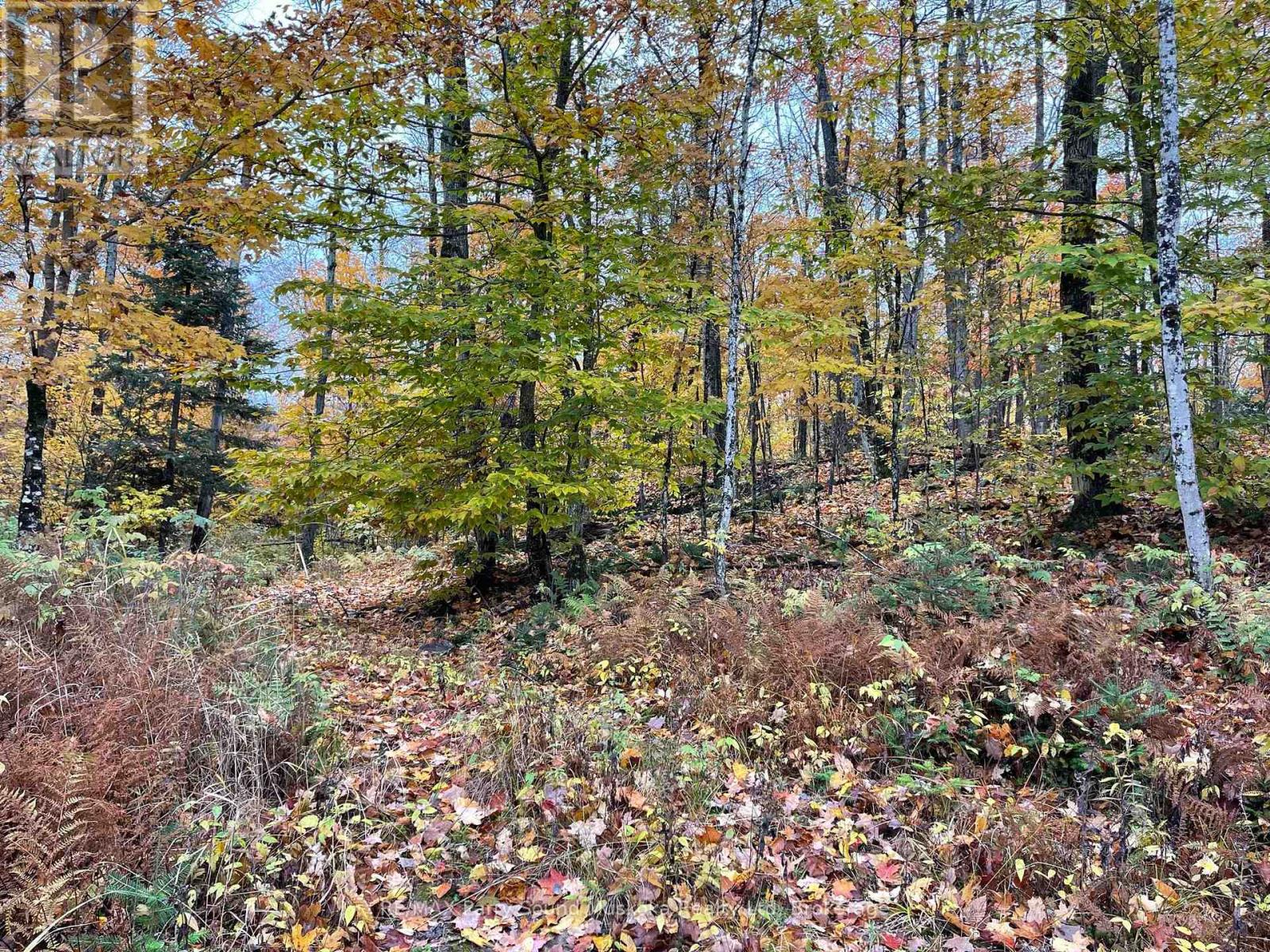 75 Granite Drive, Huntsville, Ontario  P0A 1R0 - Photo 15 - X11952292