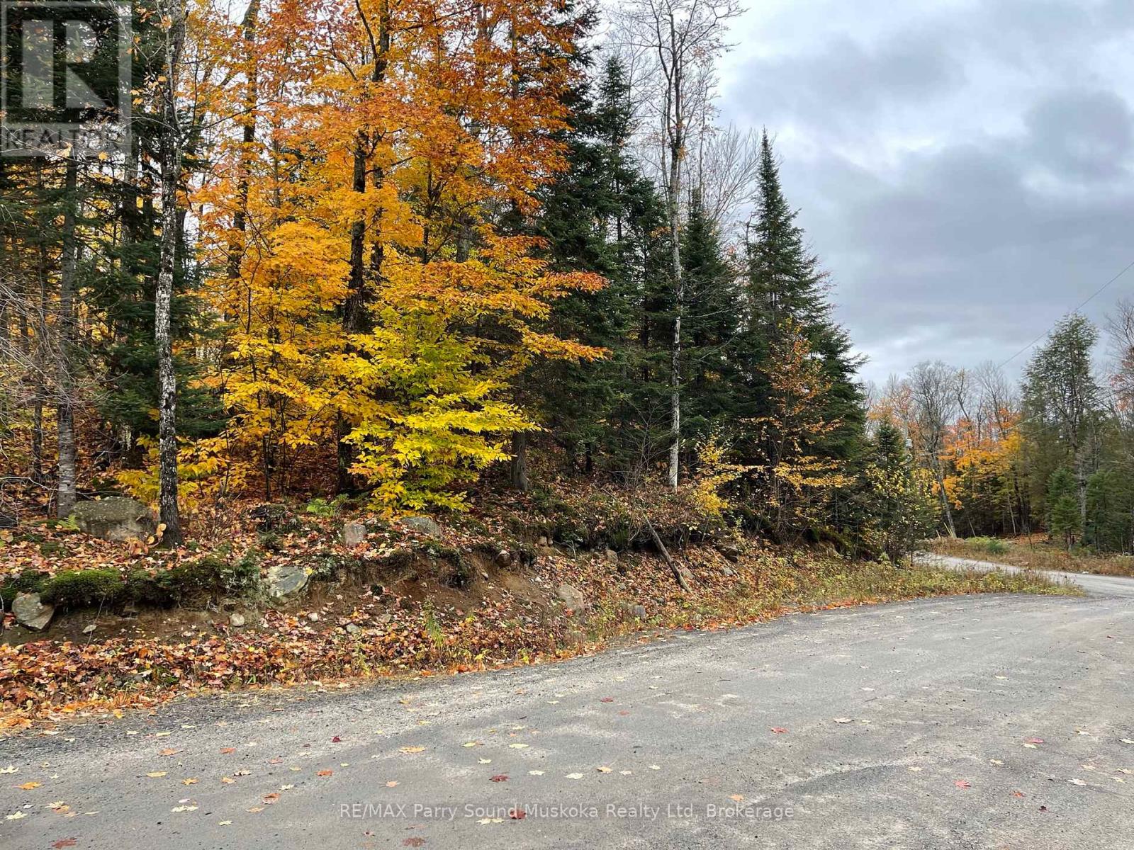 75 Granite Drive, Huntsville, Ontario  P0A 1R0 - Photo 16 - X11952292