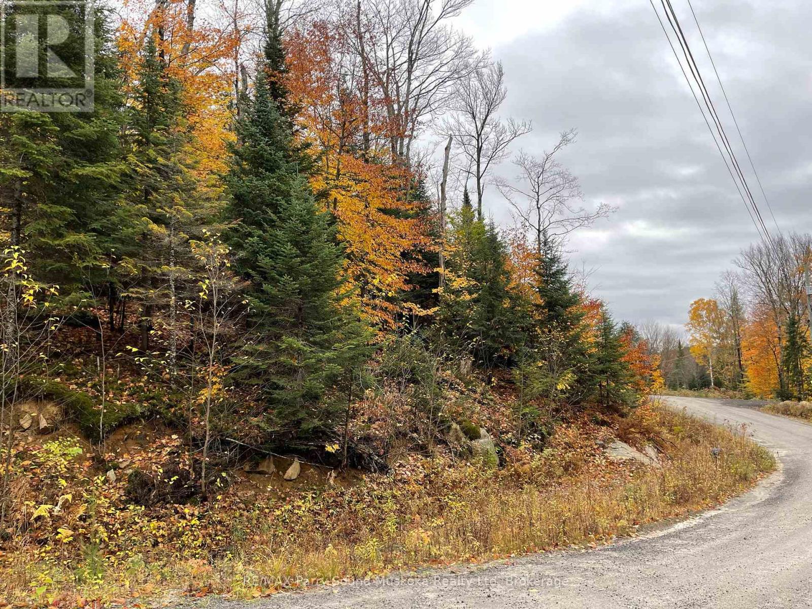 75 Granite Drive, Huntsville, Ontario  P0A 1R0 - Photo 17 - X11952292