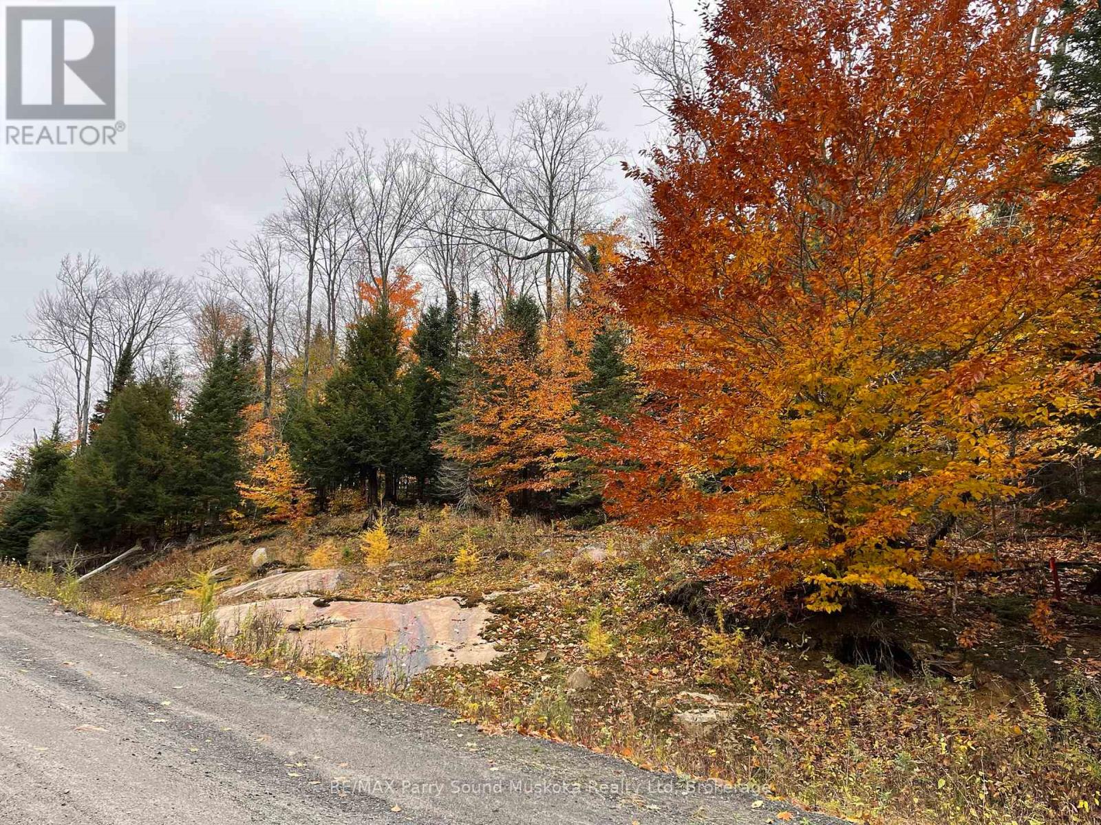 75 Granite Drive, Huntsville, Ontario  P0A 1R0 - Photo 19 - X11952292