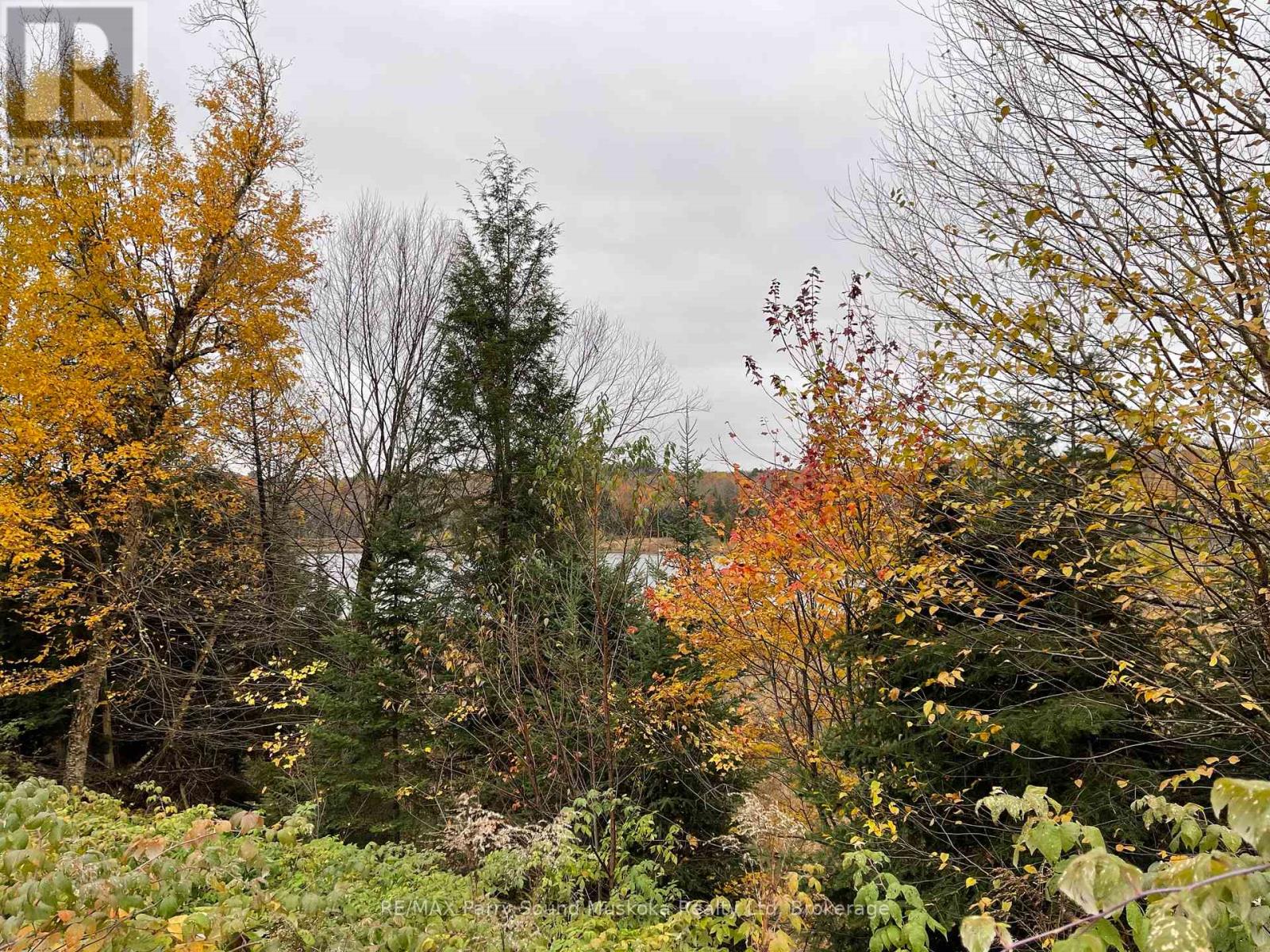 75 Granite Drive, Huntsville, Ontario  P0A 1R0 - Photo 22 - X11952292