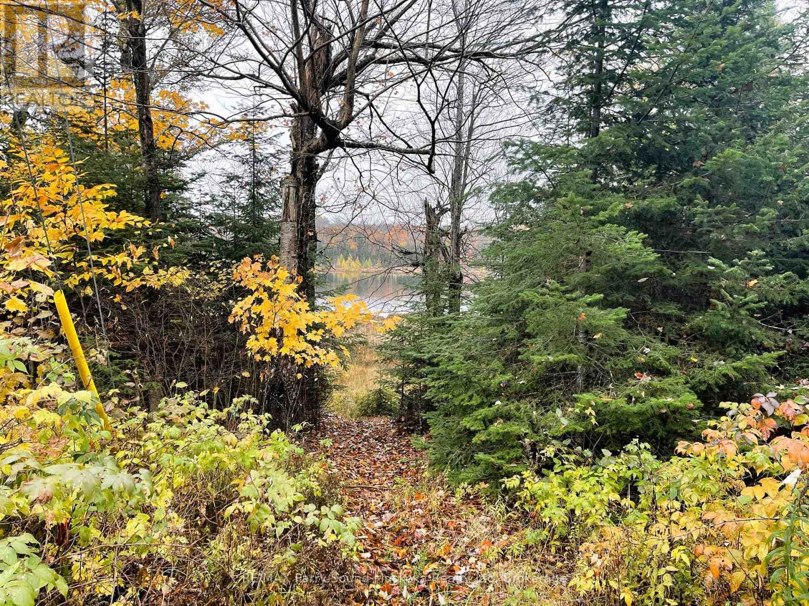 75 Granite Drive, Huntsville, Ontario  P0A 1R0 - Photo 23 - X11952292