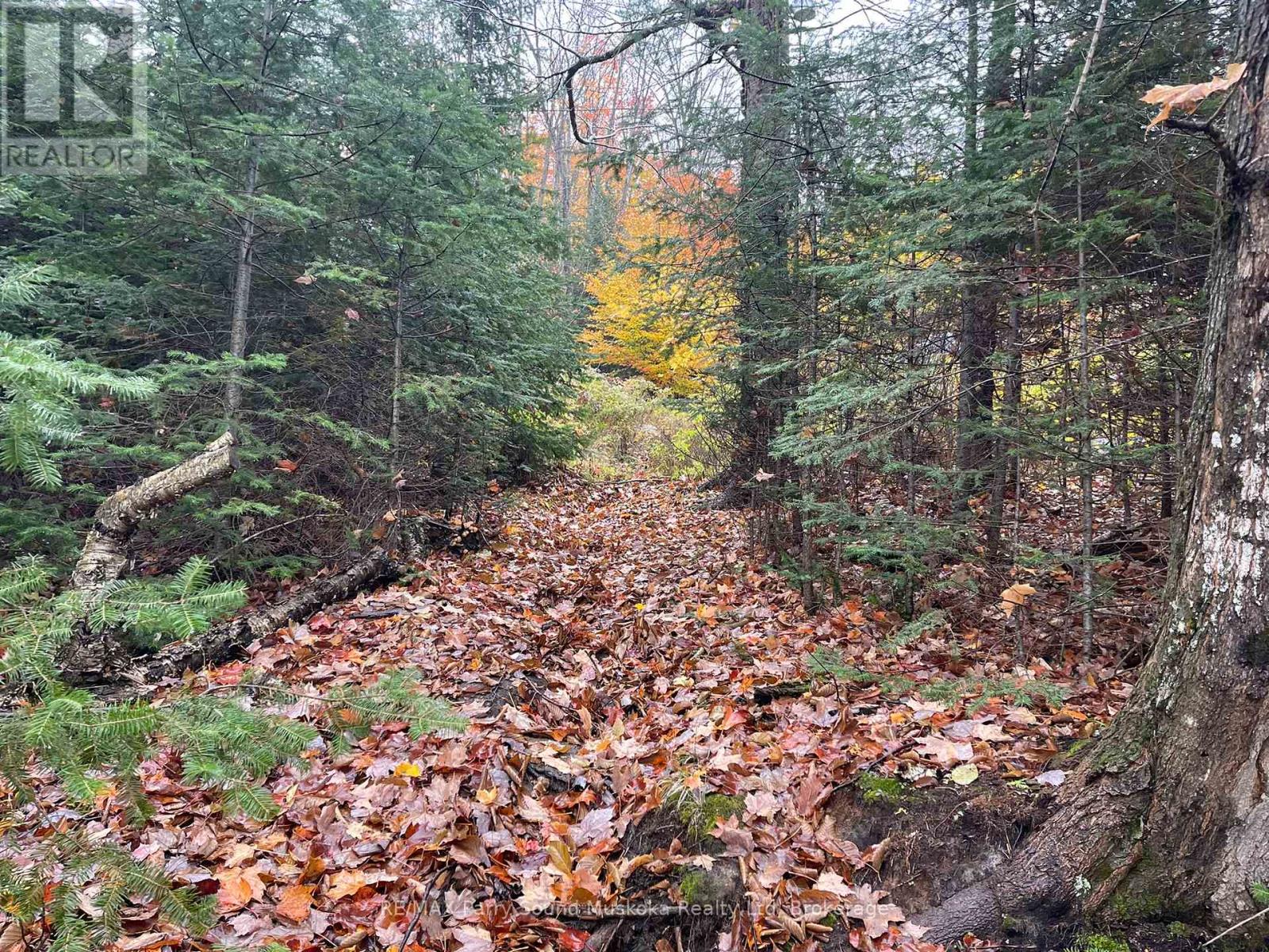 75 Granite Drive, Huntsville, Ontario  P0A 1R0 - Photo 25 - X11952292