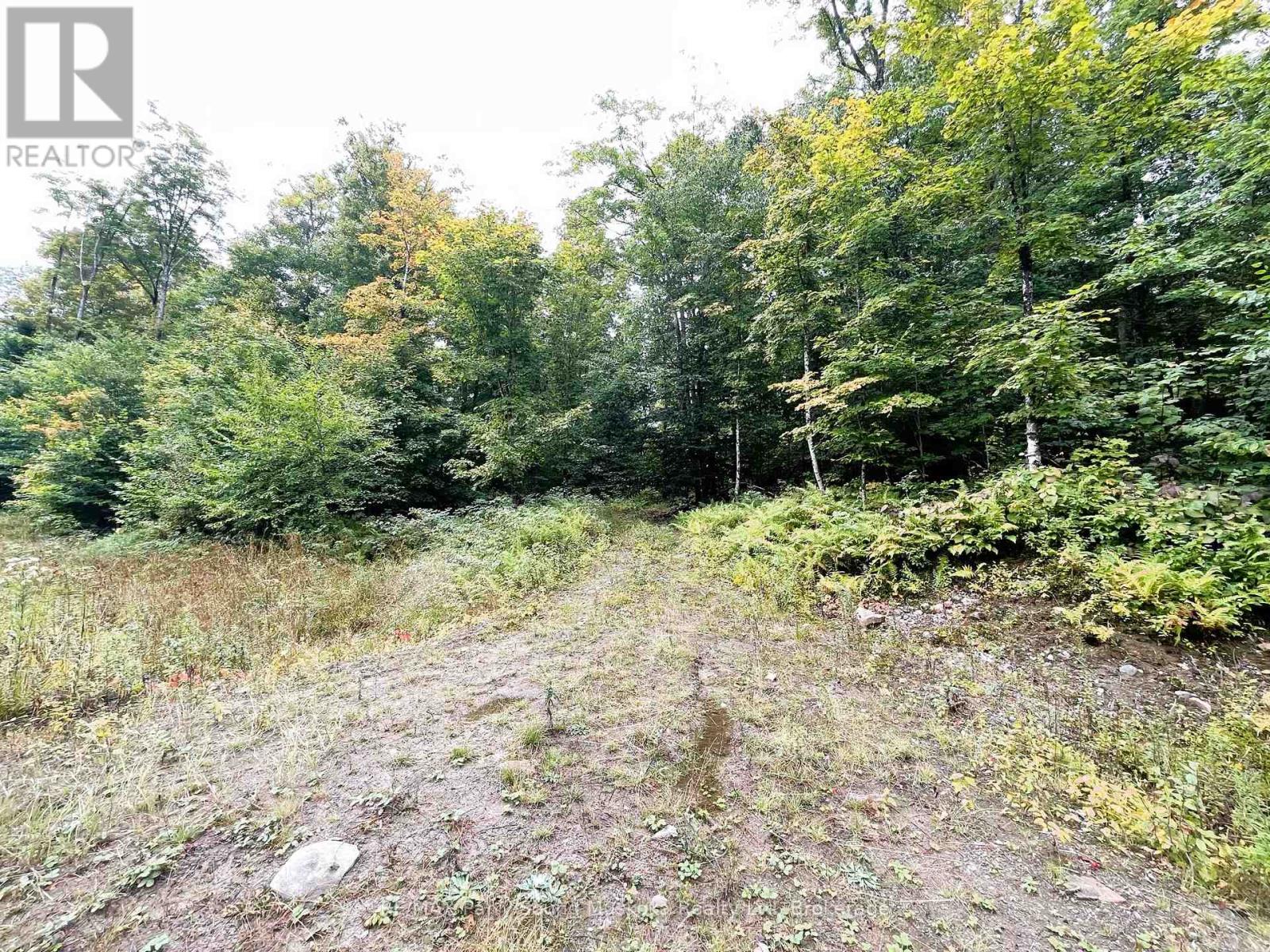 75 Granite Drive, Huntsville, Ontario  P0A 1R0 - Photo 5 - X11952292