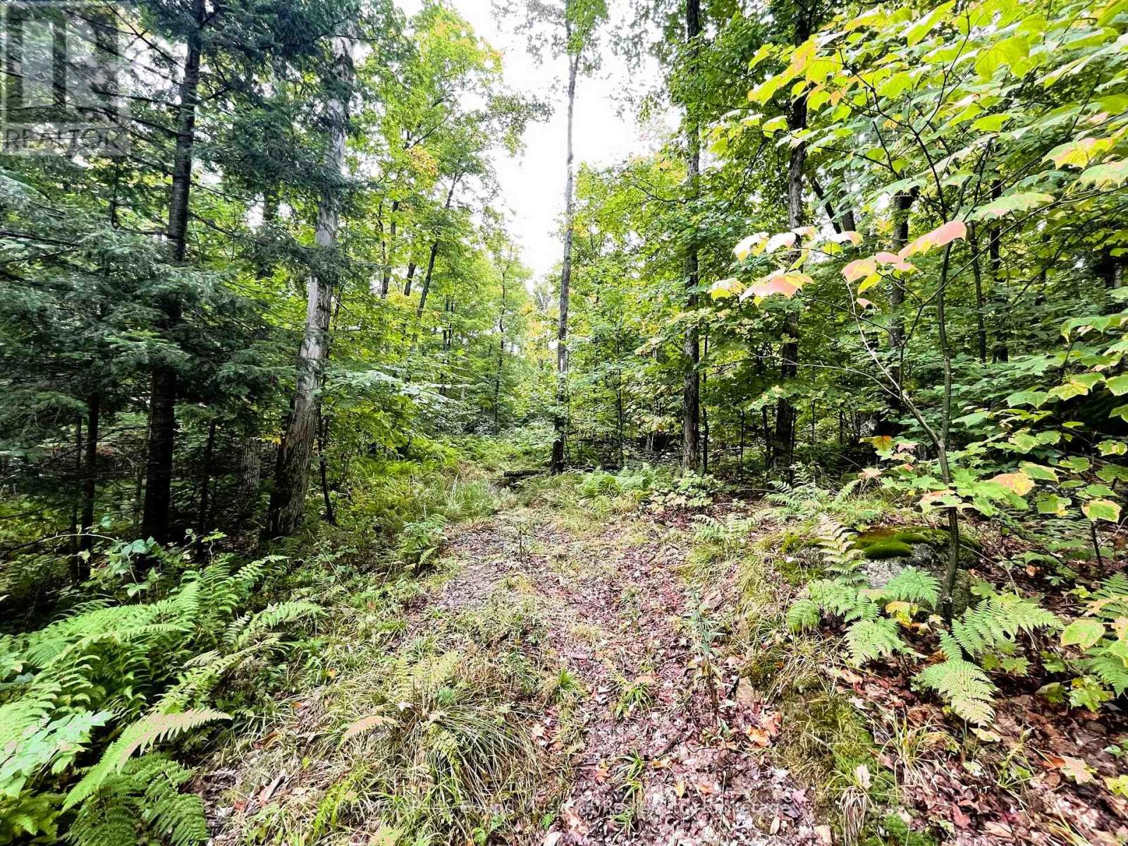 75 Granite Drive, Huntsville, Ontario  P0A 1R0 - Photo 7 - X11952292