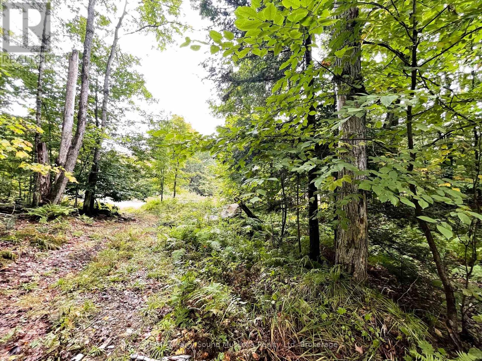 75 Granite Drive, Huntsville, Ontario  P0A 1R0 - Photo 8 - X11952292