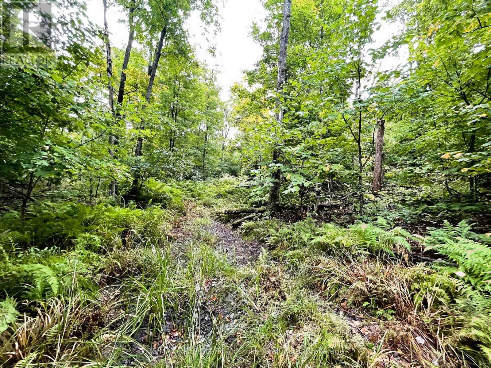 75 Granite Drive, Huntsville, Ontario  P0A 1R0 - Photo 9 - X11952292