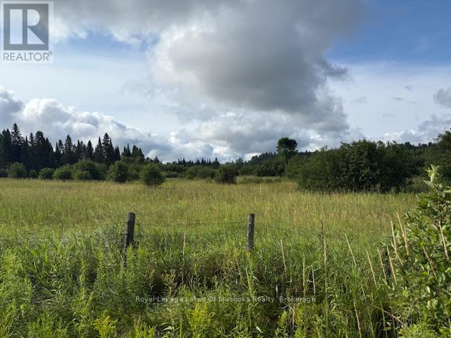 0 Old Muskoka To The East Side Of #1105 Road, Huntsville, Ontario  P0B 1M0 - Photo 5 - X11980955