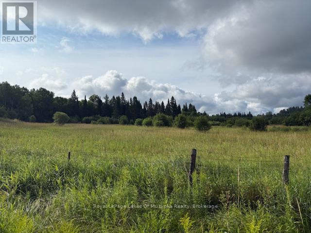 0 Old Muskoka To The East Side Of #1105 Road, Huntsville, Ontario  P0B 1M0 - Photo 6 - X11980955