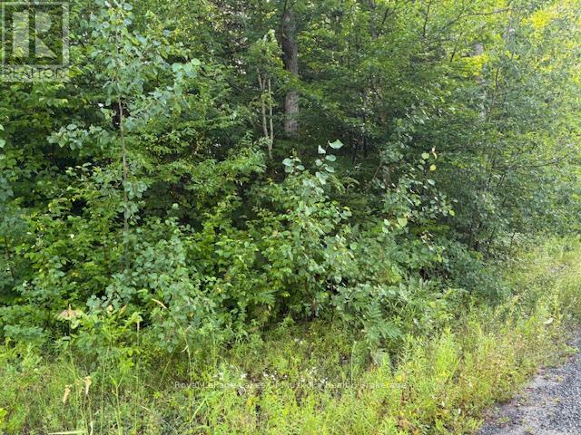 59 Summer Leigh Trail, Huntsville, Ontario  P0B 1M0 - Photo 3 - X11993856