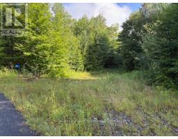 59 SUMMER LEIGH TRAIL, Huntsville, Ontario