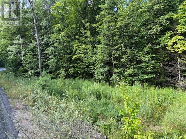 1788 Old Muskoka Road, Huntsville, Ontario  P0B 1M0 - Photo 3 - X11993861