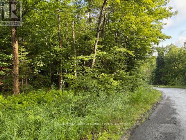 1788 Old Muskoka Road, Huntsville, Ontario  P0B 1M0 - Photo 7 - X11993861