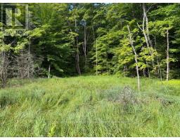 1788 OLD MUSKOKA ROAD, Huntsville, Ontario