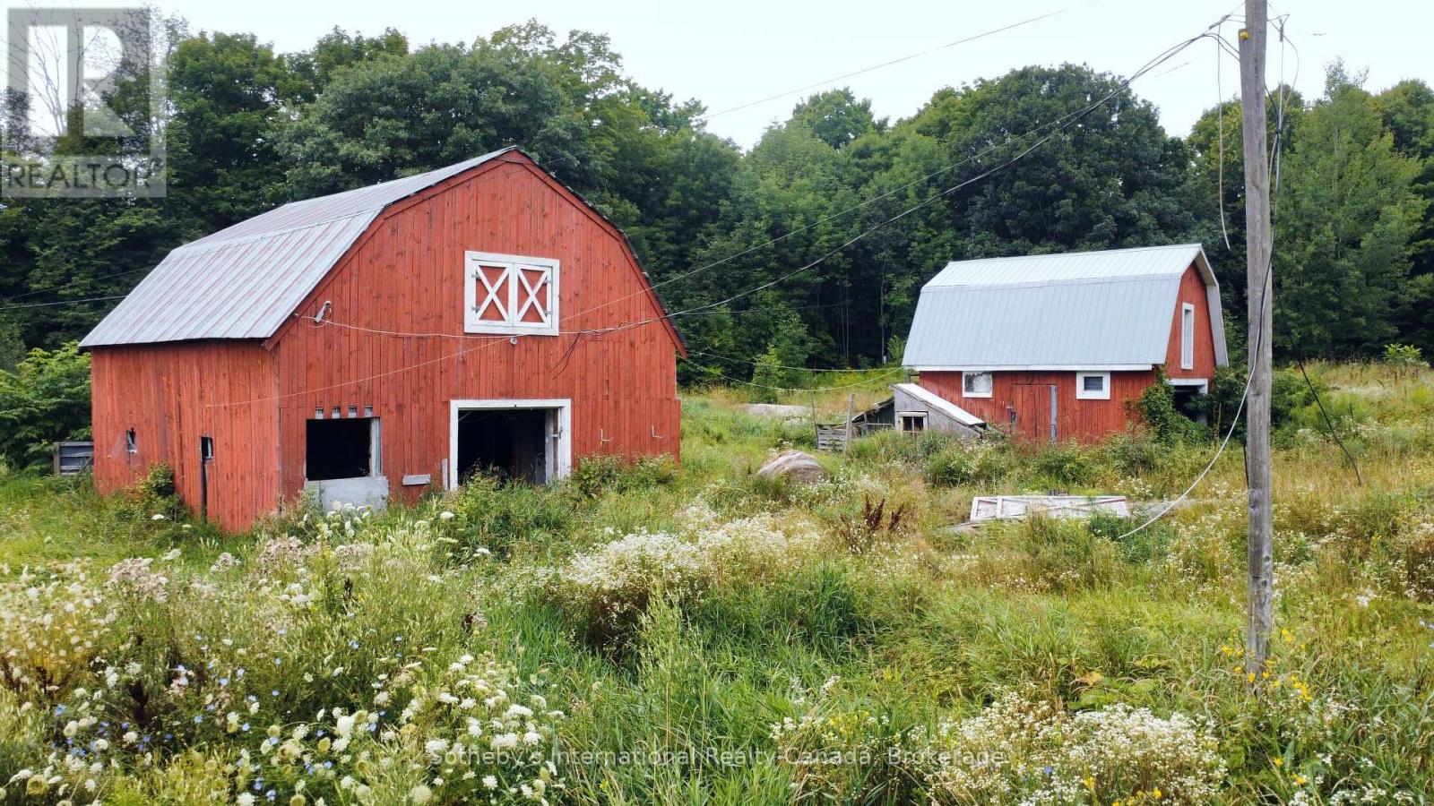 1316 Graham Road, Gravenhurst, Ontario  P0E 1N0 - Photo 27 - X11994647