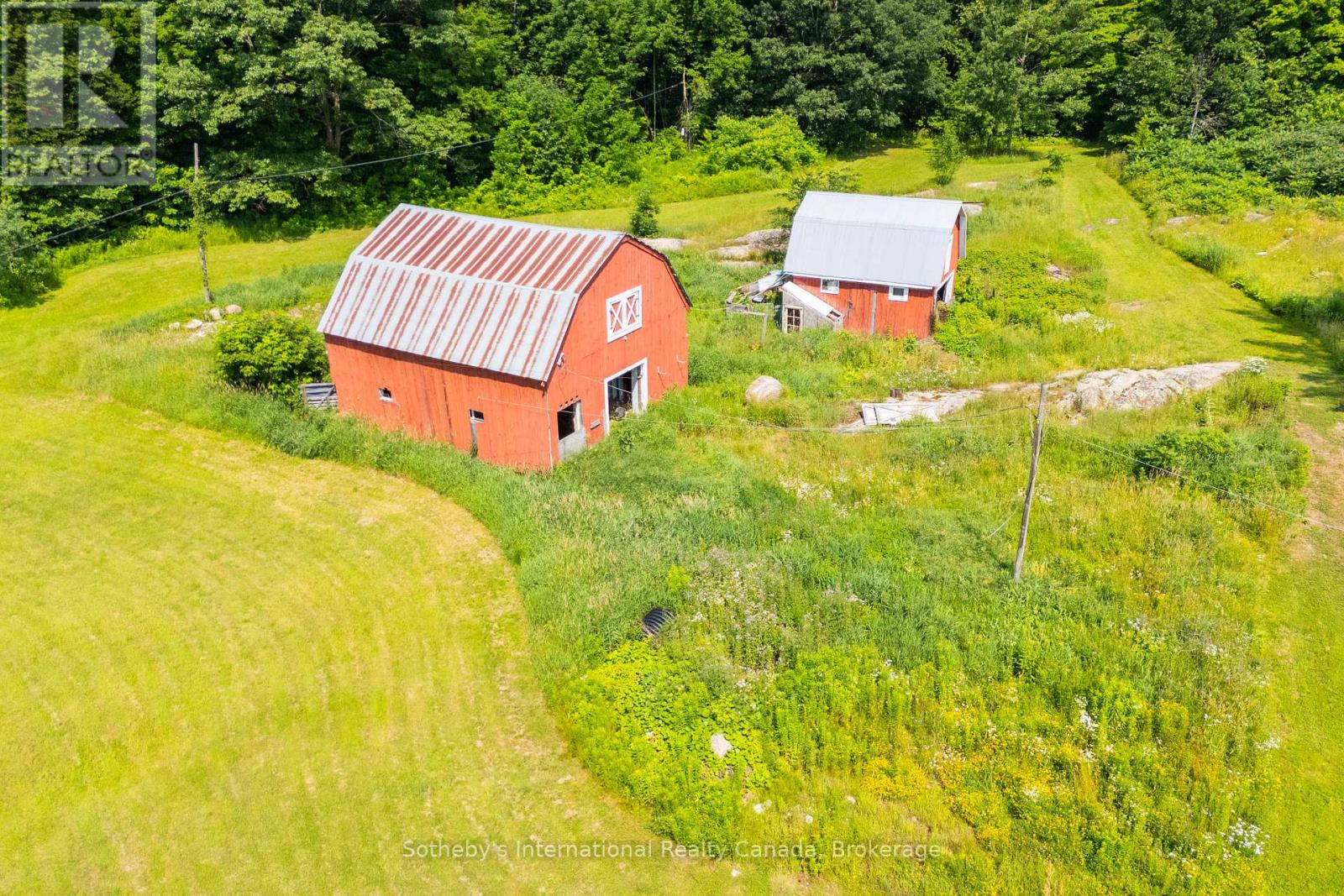 1316 Graham Road, Gravenhurst, Ontario  P0E 1N0 - Photo 9 - X11994647