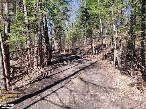 0 Highway 35 Highway, Lake Of Bays, Ontario  P0A 1E0 - Photo 10 - X11996909