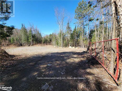0 Highway 35 Highway, Lake Of Bays, Ontario  P0A 1E0 - Photo 12 - X11996909