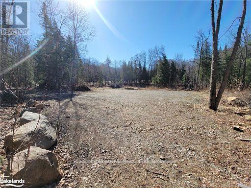 0 Highway 35 Highway, Lake Of Bays, Ontario  P0A 1E0 - Photo 13 - X11996909