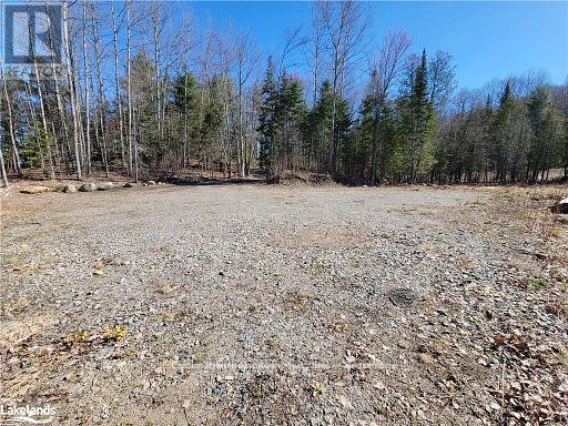 0 Highway 35 Highway, Lake Of Bays, Ontario  P0A 1E0 - Photo 14 - X11996909