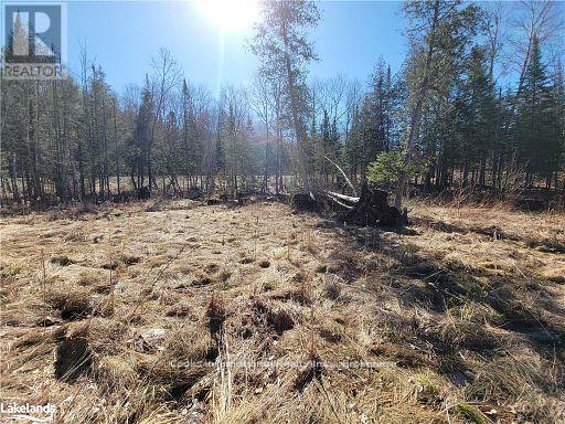 0 Highway 35 Highway, Lake Of Bays, Ontario  P0A 1E0 - Photo 15 - X11996909