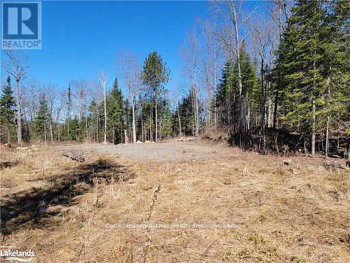 0 Highway 35 Highway, Lake Of Bays, Ontario  P0A 1E0 - Photo 16 - X11996909