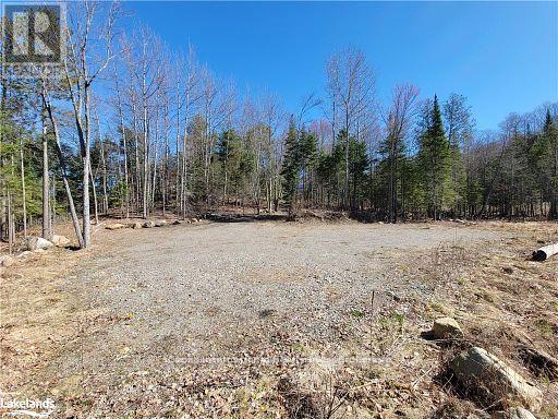 0 Highway 35 Highway, Lake Of Bays, Ontario  P0A 1E0 - Photo 18 - X11996909