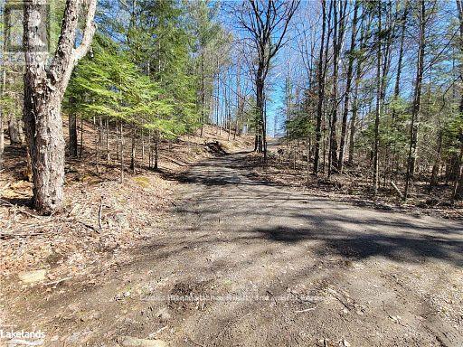 0 Highway 35 Highway, Lake Of Bays, Ontario  P0A 1E0 - Photo 19 - X11996909